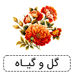 گل و گیاه