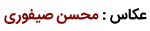 محسن صیفوری