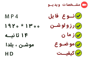 ویدیو فارسی انار شب یلدا