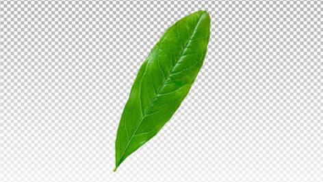 تصویر PNG کلوزآپ انار شب چله