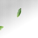 تصویر PNG مجموعه انار تازه شب یلدا