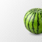 تصویر PNG هندوانه شب یلدا
