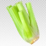 تصویر PNG کرفس تازه