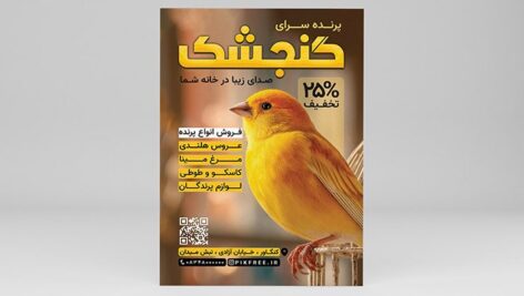 فایل لایه باز تراکت پرنده فروشی و پرنده سرا