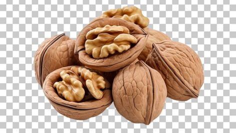 تصویر PNG رایگان گردو