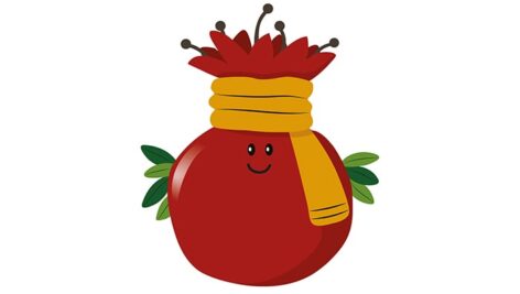 فایل لایه باز ایموجی انار شب یلدا