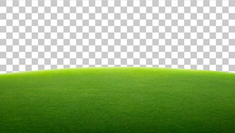 تصویر PNG زمین چمن و سبزه