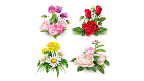 وکتور مجموعه گل با زمینه سفید