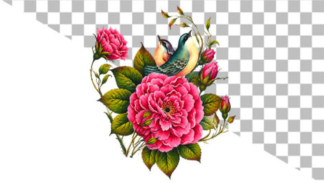 طرح PNG گل و بوته با پرنده طرح گل صورتی | دوربری شده